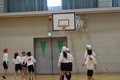 basket2