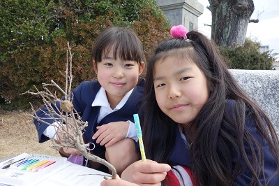 カマキリの卵発見！