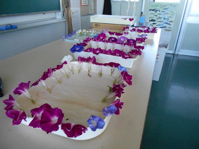 西川端小学校