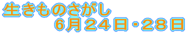 生きものさがし 　　　　6月２４日・２８日