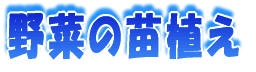 校外学習 
