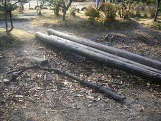 IMGP2874.jpg