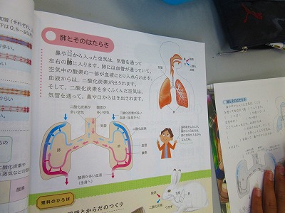 ６年生理科 肺とそのはたらき 佐屋小学校