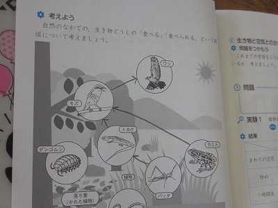 佐屋小学校