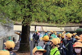 アップロード	 	 	リンク	 	 アップロードしたい画像ファイルを指定してください 選択されていません 代替