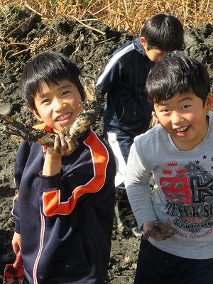 れんこん掘り１