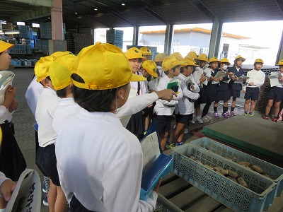 れんこんセンター